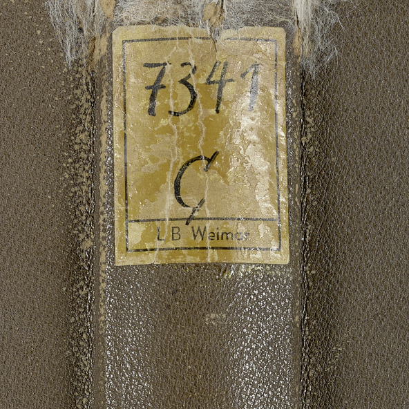 <p>Einband des <em>Zarathustra</em>-Exemplars Nr. 425 mit dem aufgeklebten Signaturetikett der Thüringischen Landesbibliothek Weimar. © Klassik Stiftung Weimar</p>