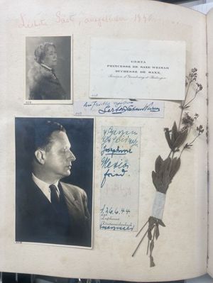 
                        Verschiedene Fotografien aus einem Album
                    