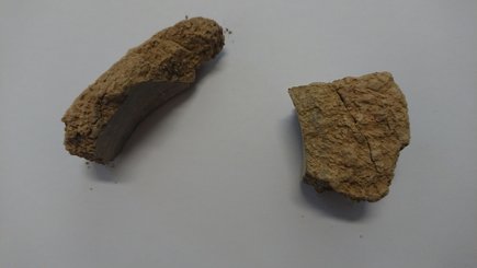 Proben zeigen, dass der Boden im Hangbereich bis zu einer Tiefe von sieben Metern ausgetrocknet ist. © Klassik Stiftung Weimar – Direktion Schlösser, Gärten und Bauten