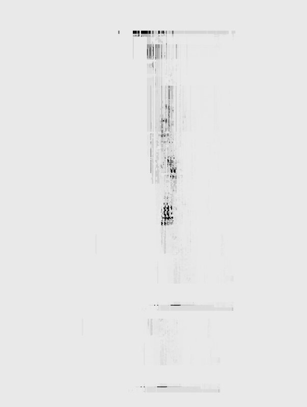 Medienkunst von Michał Matejko