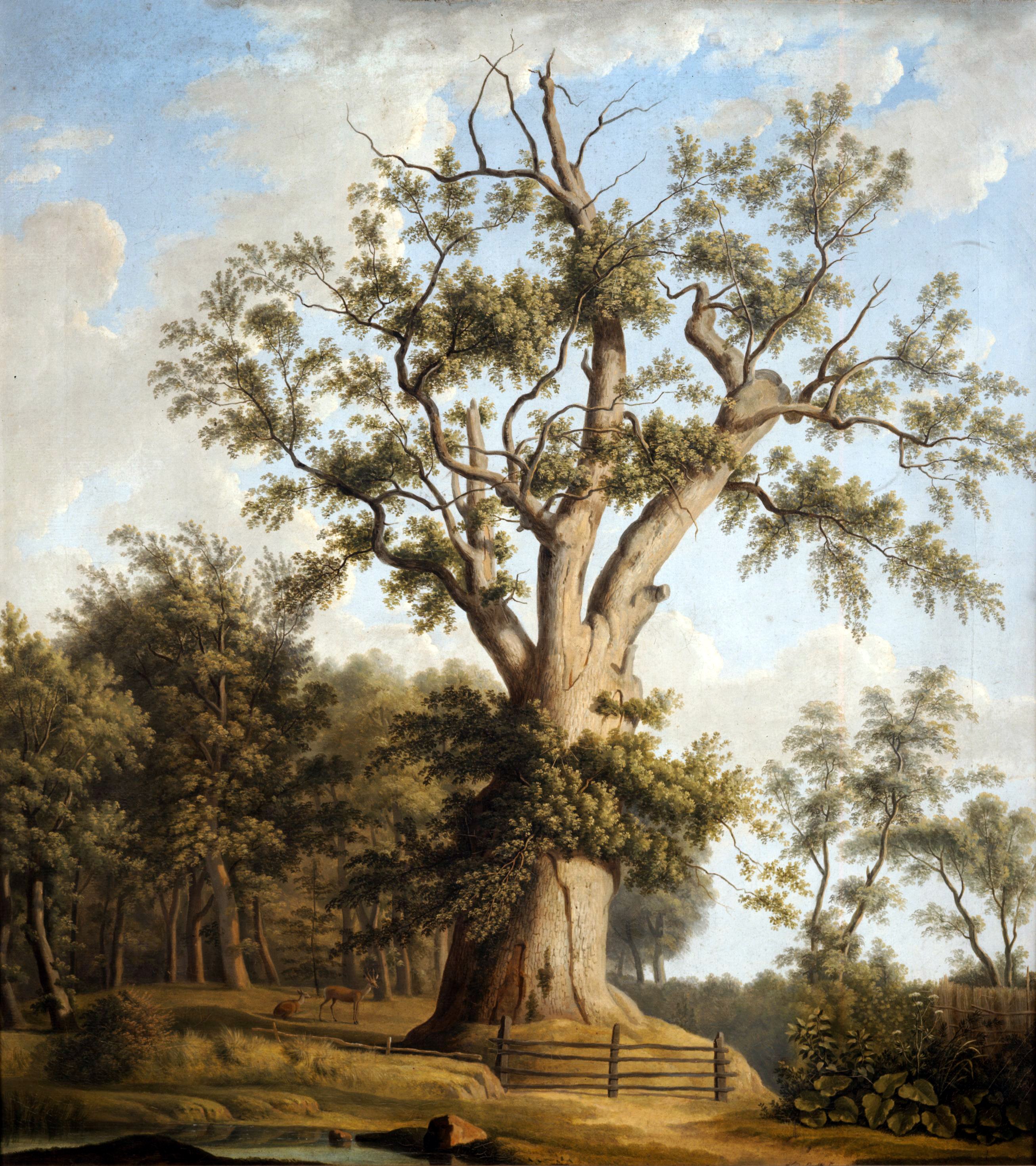 Ludwig Philipp Strack, Mansholter Eiche, 1832, © Stadtmuseum Oldenburg