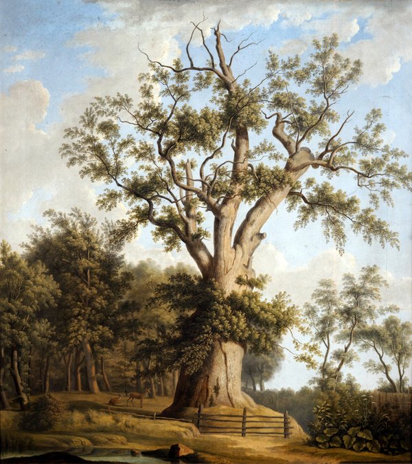 
                                                 Farbige Zeichnung eines Baumes